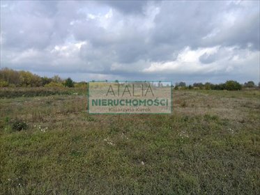 Działka 25 000 m² przy głównej drodze, zielona okolica działka Domaniew