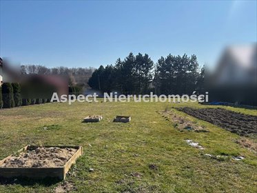 Działka budowlana na sprzedaż Pielgrzymowice 973m2 Foto 3