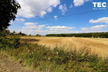 Działka 10 500 m² z mediami, lasem i dużym ogrodem działka Nagłowice