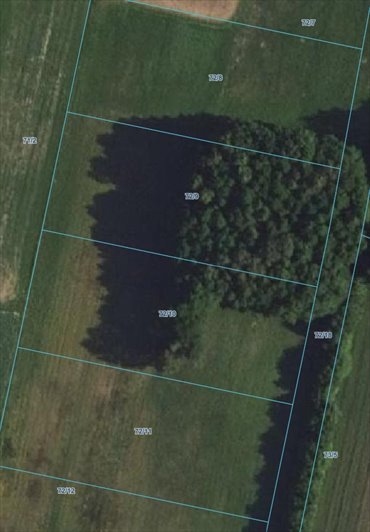 Działka 2000 m² w Ślepowronach – inwestycja i dom działka Ślepowrony