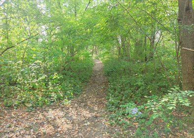 Działka budowlana na sprzedaż Grodzisk Mazowiecki, Księcia Józefa Poniatowskiego 3 854m2 Foto 4