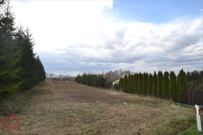 działka na sprzedaż 5300m2 działka Dębica, Budzisz