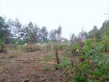 działka na sprzedaż 2000m2 działka Warszawa, Wawer, Nowy Miedzeszyn, Wał Miedzeszyński