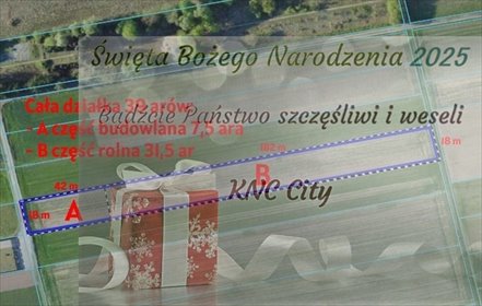 działka na sprzedaż 3847m2 działka Lisów