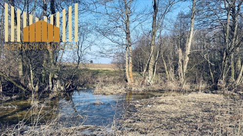 Działka 2598 m² z domem, mediami, dostępem do rzeczki działka Dobre