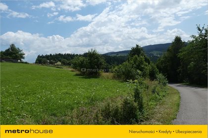 Działka budowlana na sprzedaż Żeleźnikowa Wielka, Nawojowa 25 600m2 Foto 5