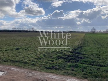 działka na sprzedaż 55400m2 działka Osiedle Poznańskie