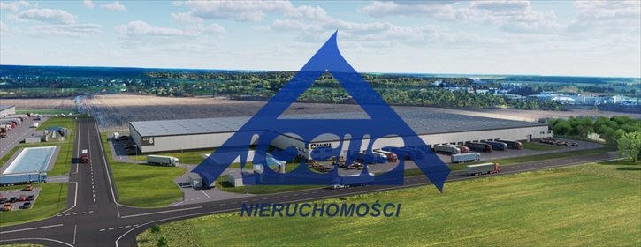 Na wynajem nowoczesny magazyn 2 700 m² w Modlinie magazyn Nowy Modlin