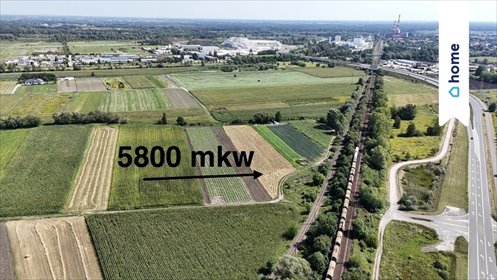 Działka inwestycyjna 5800 m² w Radwanicach - pod zabudowę działka Radwanice, Dębowa