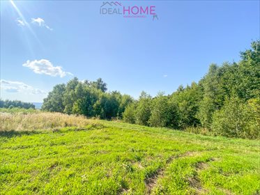 Działka leśna na sprzedaż Dylągówka 4 300m2 Foto 7