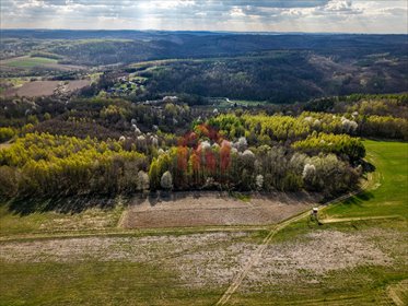Do sprzedania widokowa działka 48 arów pod lasem w Hadlach Kańczuckich działka Hadle Kańczuckie