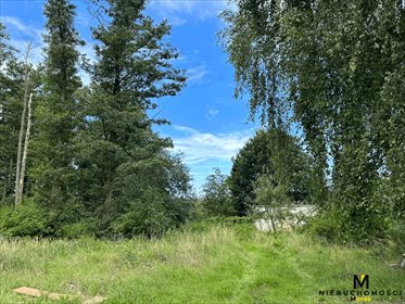 działka na sprzedaż 2916m2 działka Mrzeżyno