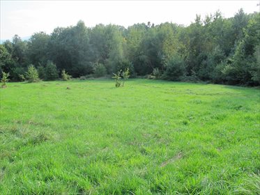 działka na sprzedaż 6700m2 działka Włosań