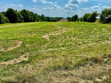 Działka rolna na sprzedaż Łódź, Bałuty, Nowe Moskule, Strykowska 19 996m2 Foto 6