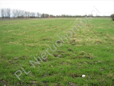 działka na sprzedaż 22000m2 działka Żaby