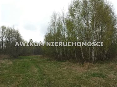 działka na sprzedaż 9300m2 działka Jaktorów, Stare Budy