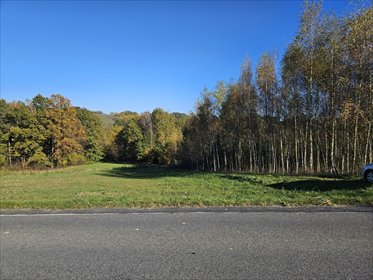 działka na sprzedaż 3400m2 działka Turza, Turza