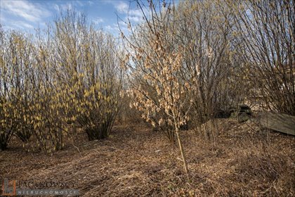 działka na sprzedaż 802m2 działka Bibice