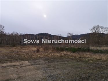 Lokal użytkowy na sprzedaż Piechowice 500m2 Foto 4
