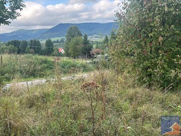 działka na sprzedaż 1100m2 działka Męcina