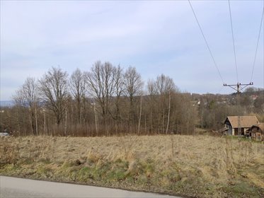 działka na sprzedaż 11800m2 działka Strzyżów