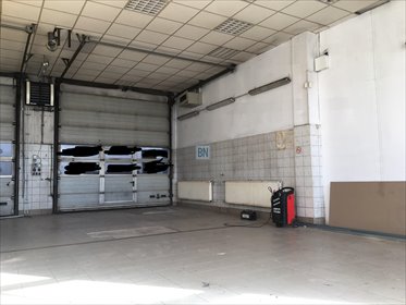 lokal użytkowy na wynajem 50m2 lokal użytkowy Łaziska Górne