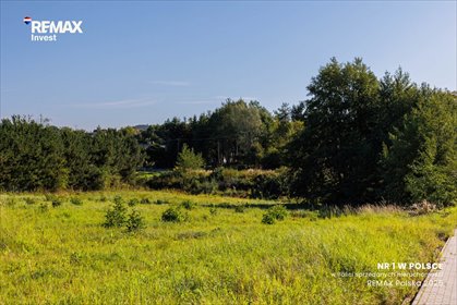 Działka budowlana 2676 m² z mediami, blisko szkoły działka Roczyny, Spokojna