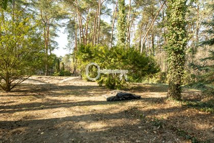 Zapraszam do zakupu działki 1705 m² w Magdalence z pozwoleniem na budowę działka Magdalenka, Jarzębinowa
