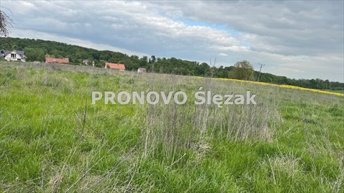 Działka 1,26 ha z potencjałem zabudowy, cisza i blisko natury działka Trzebnica, Skarszyn