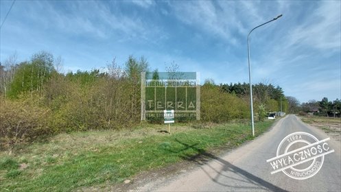 Działka 9100 m² z lasem i uzbrojeniem, polecam! działka Słone, Spokojna