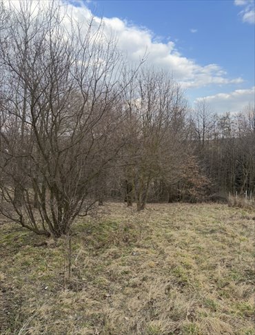 Działka rekreacyjna 6 ar z widokiem w Brzoskwini działka Brzoskwinia