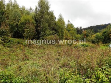 działka na sprzedaż 2985m2 działka Łomnica