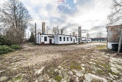 Magazyn na wynajem 591 m² z biurem, Kostrzyn magazyn Kostrzyn, Półwiejska