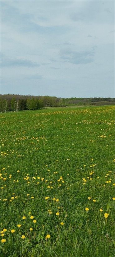 działka na sprzedaż 1200m2 działka Lidzbark Warmiński