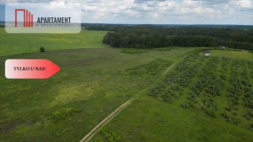 Działka 4422 m² z warunkami zabudowy w Miradowie działka Miradowo