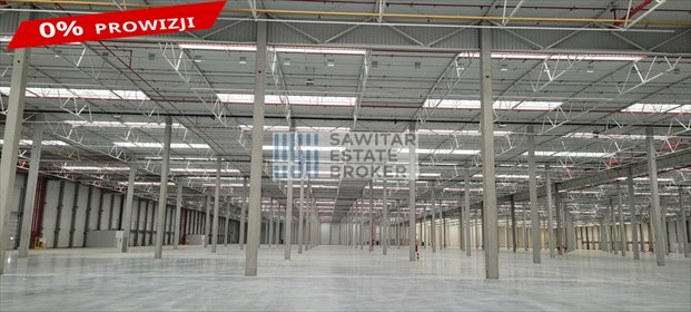 Nowoczesny magazyn 10 500 m² z biurami (Gliwice) magazyn Gliwice, Warzywna