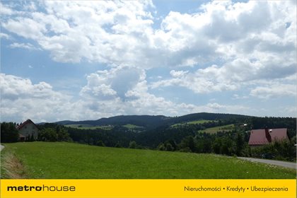 Działka budowlana na sprzedaż Żeleźnikowa Wielka, Nawojowa 25 600m2 Foto 4