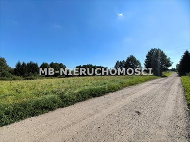 działka na sprzedaż 4841m2 działka Wipsowo