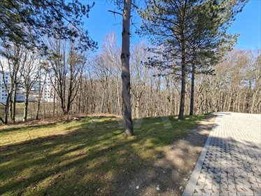Działka budowlana na sprzedaż Gdynia, Mały Kack, Mały Kack, DRAGONÓW 780m2 Foto 2