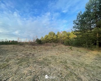 działka na sprzedaż 3005m2 działka Tomawa