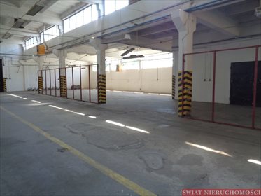Magazyn na sprzedaż Paczków 2 732m2 Foto 2