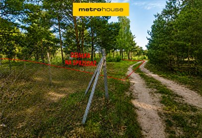 Duża działka 3000 m² w Bolimowskim Parku, las, spokój działka Jeruzal