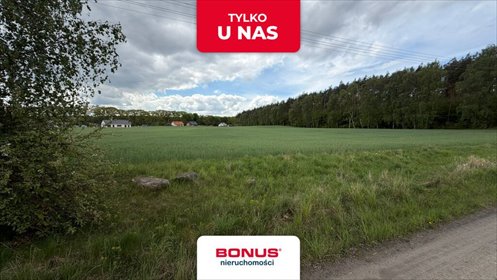 Działka budowlano-usługowa w Zelgniewie, 1650 m² działka Zelgniewo