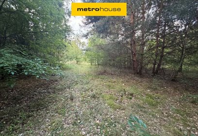 Na sprzedaż działka 5500 m² z warunkami zabudowy na 4 domy działka Nowy Kawęczyn, Strzyboga