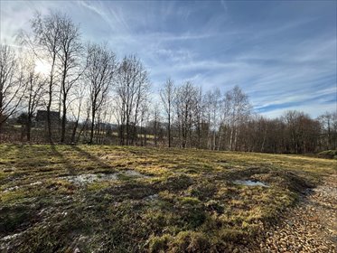 działka na sprzedaż 1000m2 działka Tomice