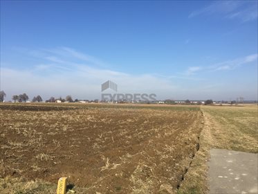 Działka budowlana na sprzedaż Bogucin 26 200m2 Foto 7
