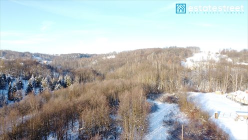 działka na sprzedaż 29800m2 działka Chmielnik