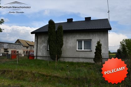 Dom na sprzedaż Szewce Owsiane 100m2 Foto 5