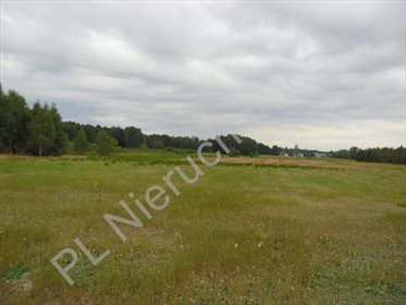 Działka rolna na sprzedaż Wólka-Konstancja 25 520m2 Foto 5