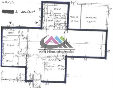 lokal użytkowy na wynajem 222m2 lokal użytkowy Piła, Zamość